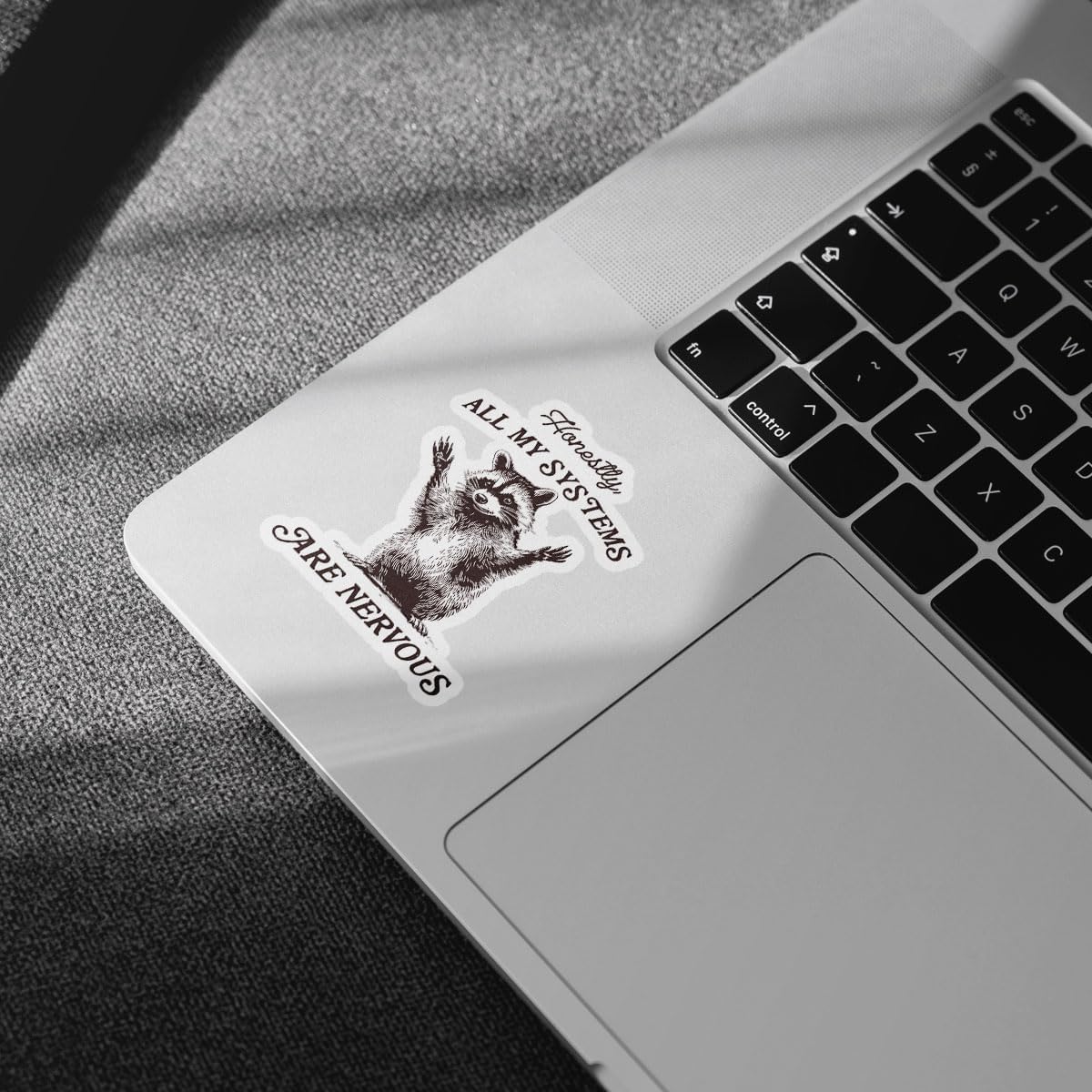 3Pcs Honestly, All My Systems are Nervous Sticker All of My Systems are Nervous Stickers Sarcastic Anxiety Bookish Gift Mental Health Funny Raccoon Decal for Laptop Bottle Phone Car Hard Hat 3"