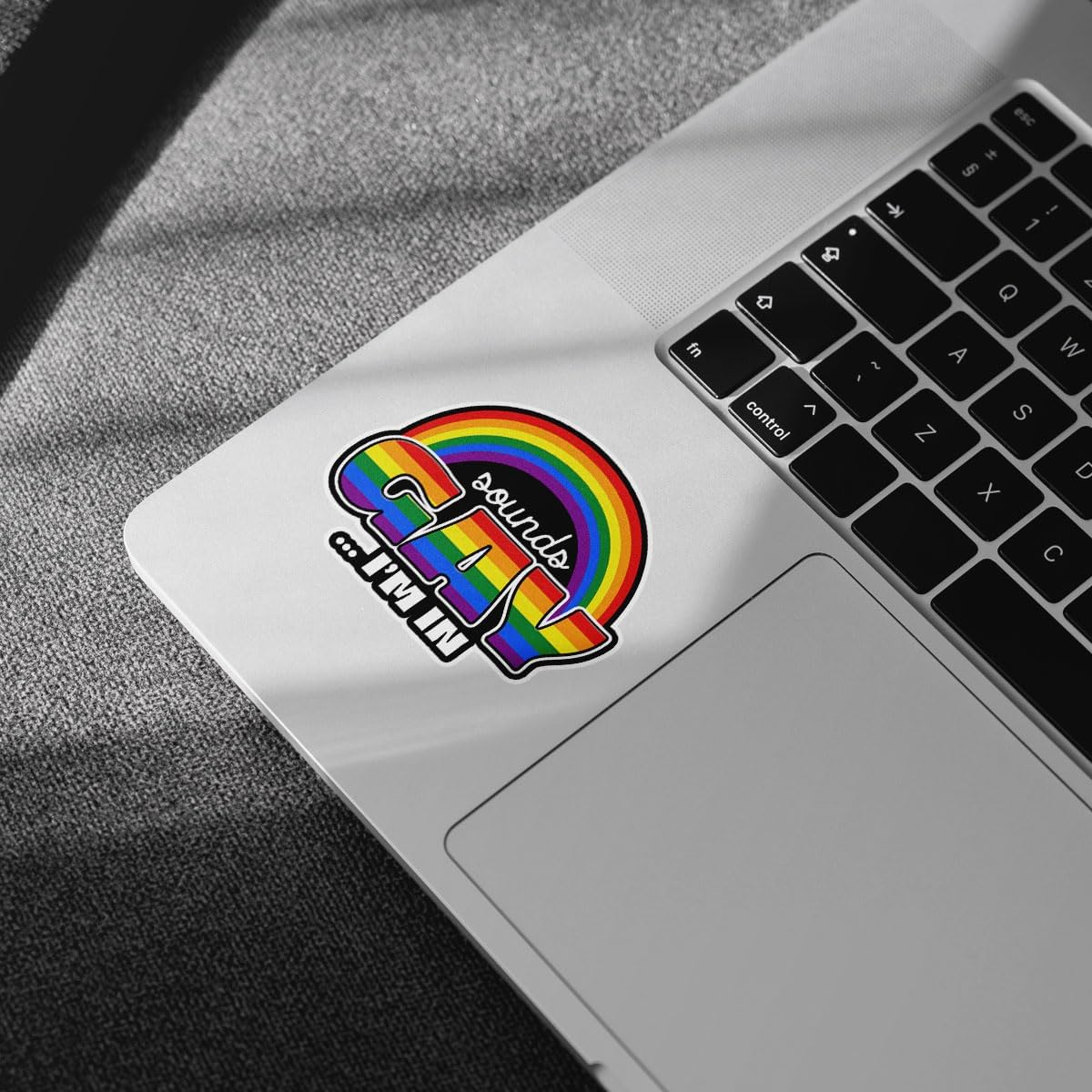 3Pcs Sounds Gay I'm in Sticker Funny LGBTQ Rainbow Flag Sticker Inclusion Matters Gay Pride Love Equality Rights Stickers Sounds Gay Im in LGBT Decal for Laptop Bottle Phone Car Hard Hat 3"x3"