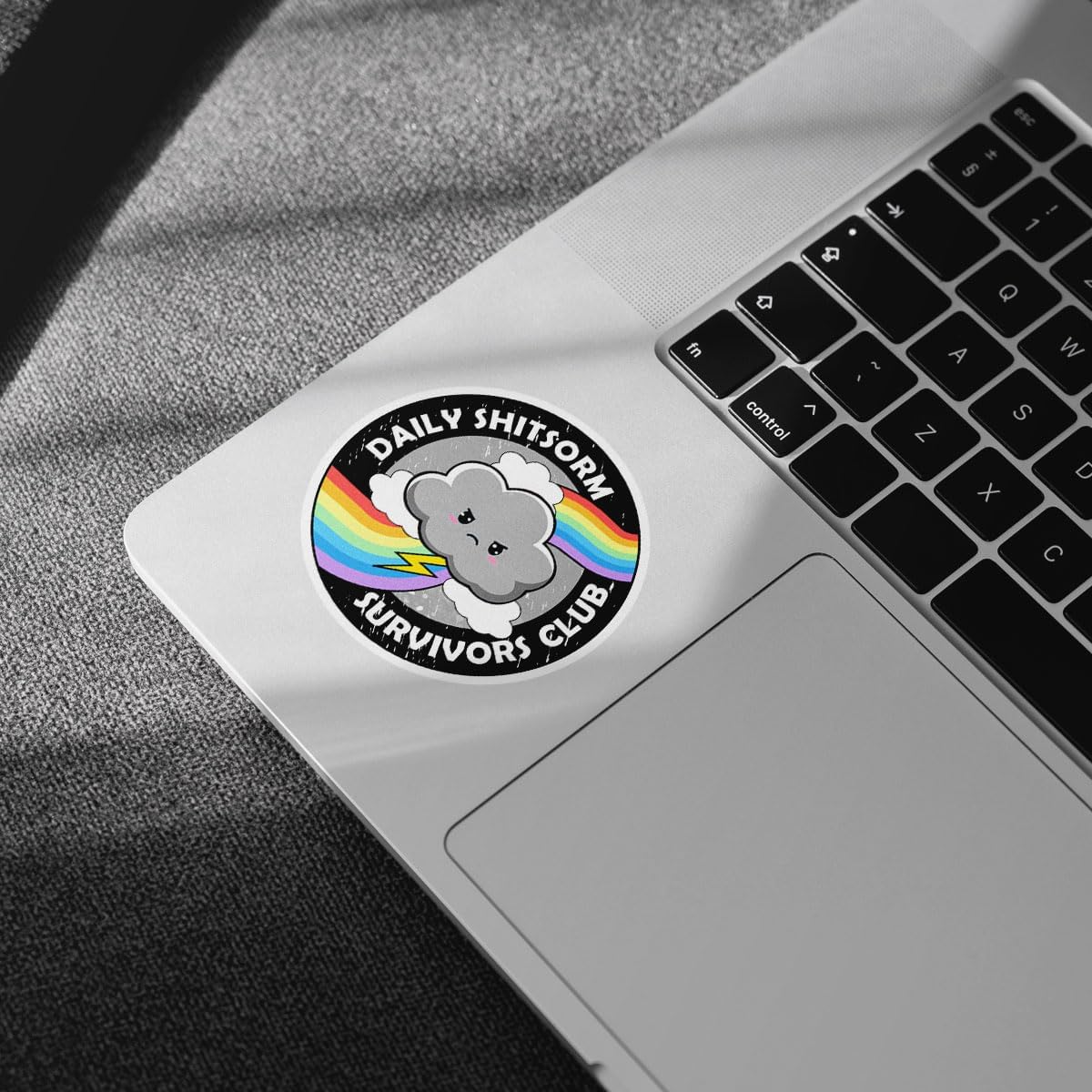 3Pcs Daily Shitstorm Survivor Club Sticker Rainbow Gift Daily Shitstorm Survivors Club Stickers Anxiety Sarcastic Moody Rainbow Cloud Coworkers Decal for Laptop Bottle Phone Car Hard Hat 3"x3"