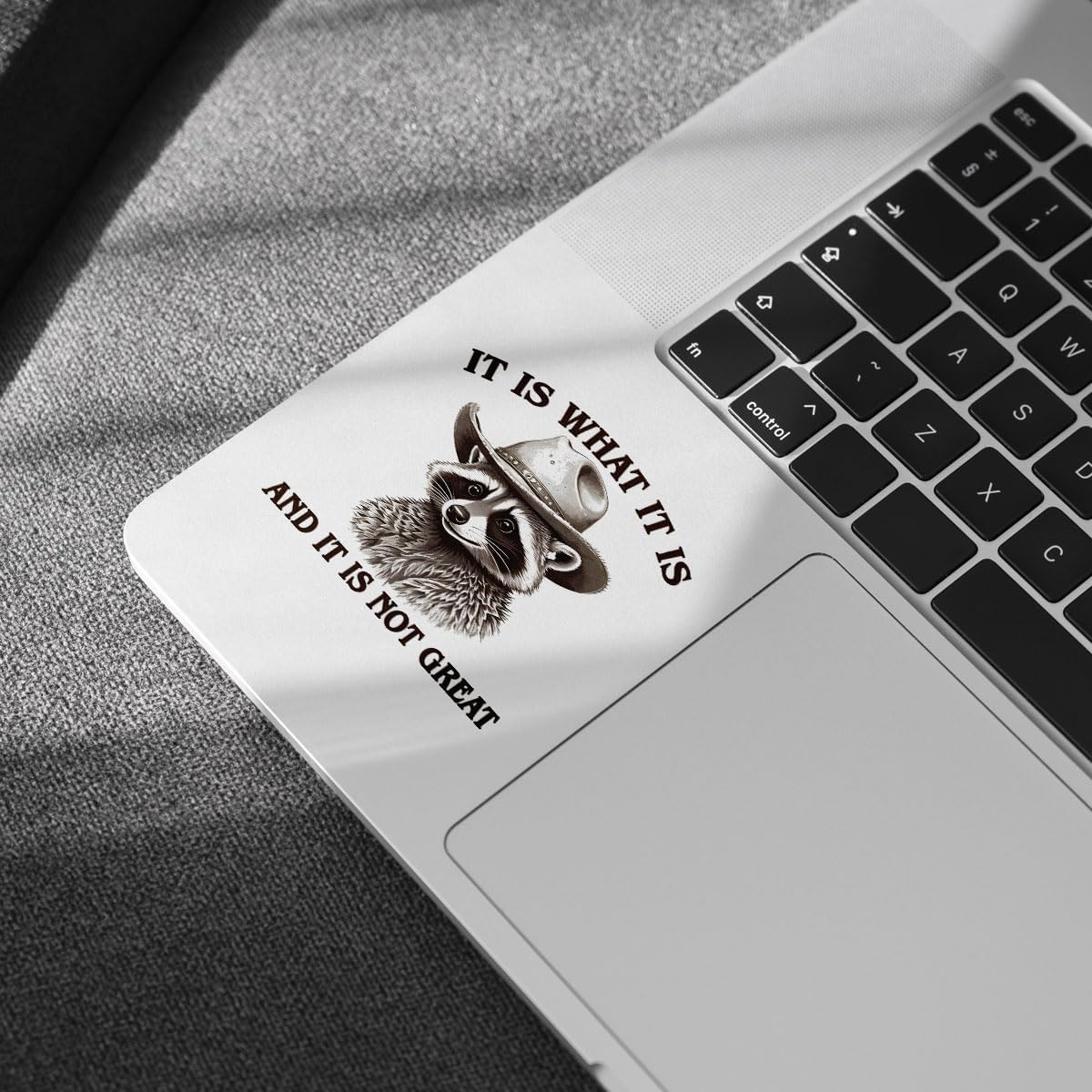 (3 Pcs) It is What It is and It Not Great Sticker, Funny Raccoon Sticker - Stickers for Laptop Water Bottle Phone Car Window Helmet Vinyl Stickers 3 Inches