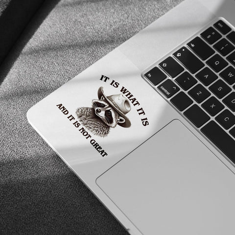 (3 Pcs) It is What It is and It Not Great Sticker, Funny Raccoon Sticker - Stickers for Laptop Water Bottle Phone Car Window Helmet Vinyl Stickers 3 Inches