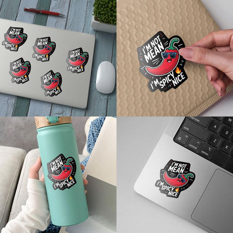 3 Pcs I'm Not Mean I'm Spicy Nice Sticker, I'm Not a Hot Mess I'm a Spicy Disaster Sticker Laptop Sticker, Funny Sticker Sarcastic for Water Bottle Tumbler Phone Case Laptop Cars 3"x3"