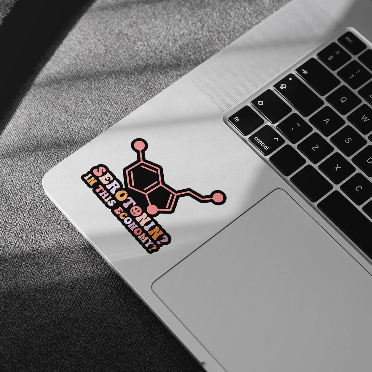 3 Pcs Serotonin in This Economy Sticker, Funny Mental Health Humor Sarcasm Sarcastic Anxiety Serotonin This Economy Vinyl Stickers Waterproof for Laptop Water Bottle Phone Car Helmet Gifts 3"x3"