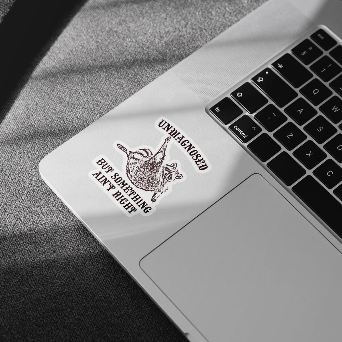 3Pcs Undiagnosed But Something Ain't Right Sticker Funny Raccoon Trash Panda Gift Undiagnosed But Something is Definitely Wrong Stickers Sarcastic Decal for Laptop Bottle Phone Car Hard Hat 3"