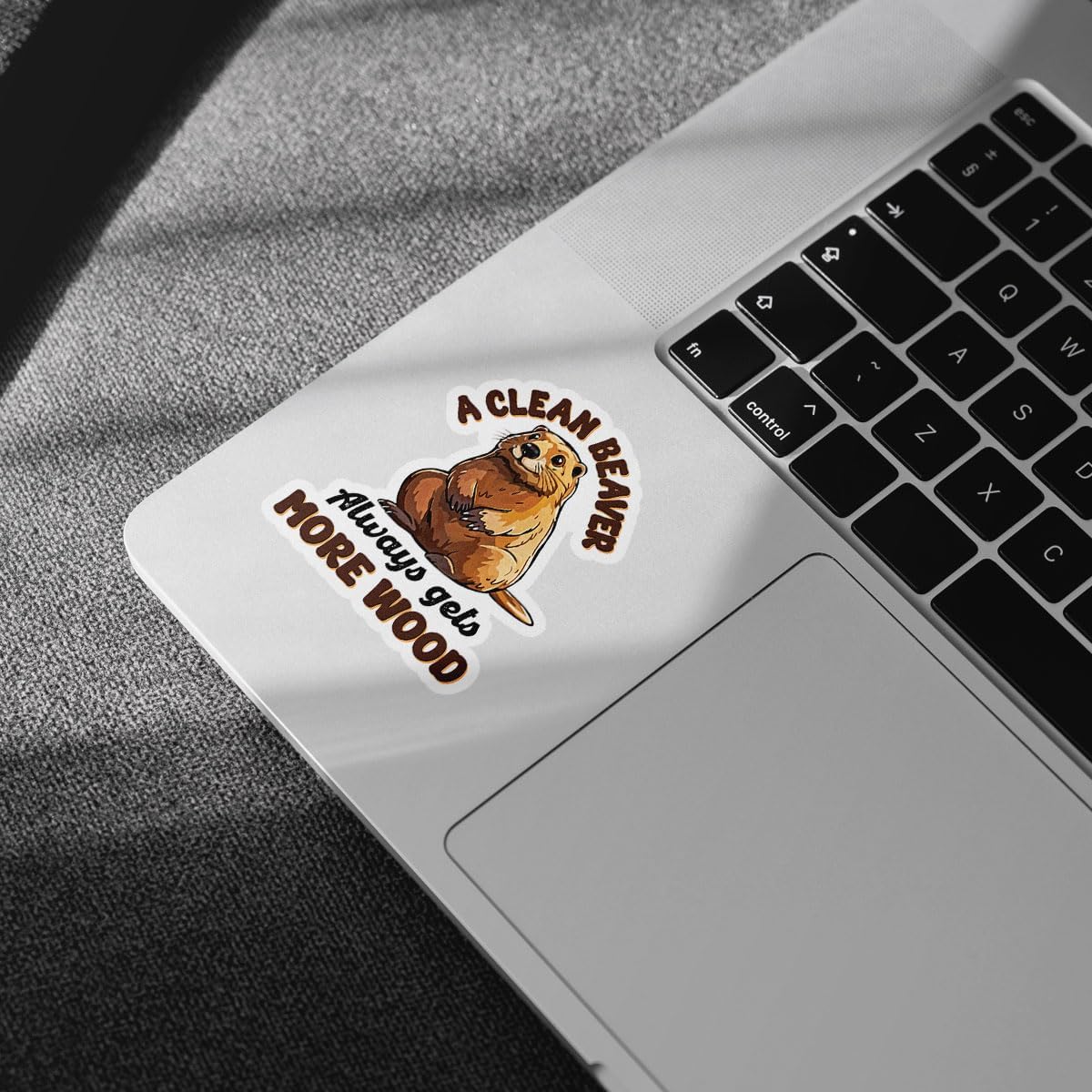 3Pcs A Clean Beaver Always Get More Wood Sticker Funny Beaver Stickers and Decals Clean Beaver Wood Decal a Clean Beaver Sarcastic Adult Humor Gift for Laptop Bottle Phone Car Hard Hat 3"x3"