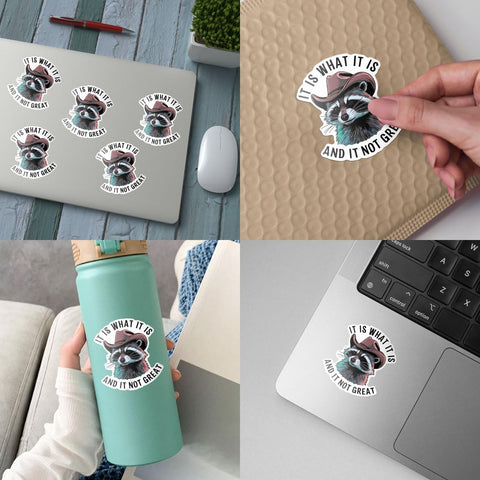 (3pcs) Raccoon It is What It is and It is Not Great Sticker, Raccoon Sticker, Sticker Die-Cut Waterproof Vinyl Sticker for Laptop Water Bottle Phone Window Helmet Decal Gift