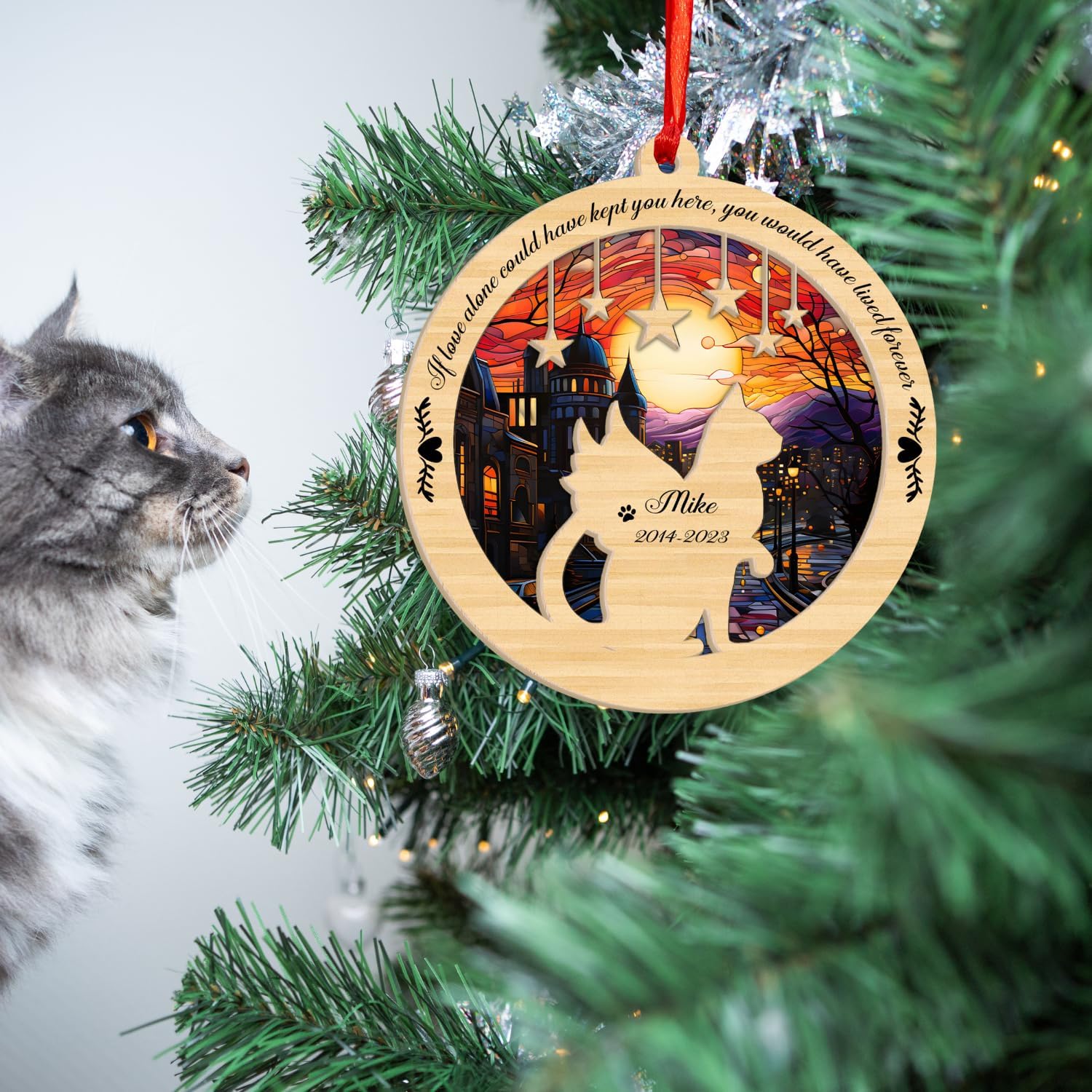 MAPrints Personalized Cat Suncatcher Ornaments For Christmas Tree, Custom Cat Christmas Ornament 2024, Gift For Christmas Cat Lovers Cat Memorial Ornament, Cat Hanging Ornament Cat On The Moon (CAT 9)