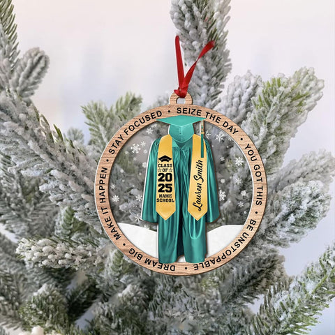 Personalized Graduation Ornaments Class of 2024 Graduation Gown Ornament Gifts Graduation Ornaments Class of 2025 College Graduation Ornaments Class of 2024 Graduate Ornament Tree Hanging Decor (G10)