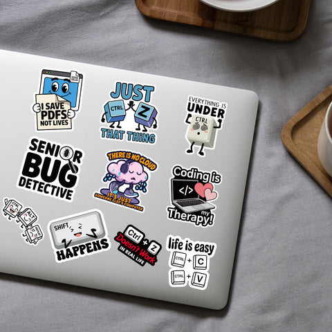 10PCS Programming Stickers 3in, Gifts for Developers Programmers Engineers, Stickers for Laptop Computer Water Bottles Luggage