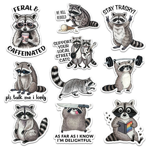 10 pcs Raccoon Stickers, Gift for Kids Boys Girls Teens, Cute Cartoon Waterproof Vinyl Stickers for Laptop Water Bottle Luggage Cup Phone Scrapbook