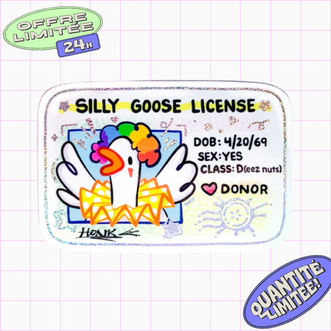 Silly Goose License Sticker Geese Jester Clown Duck Design Cute Sticker for Laptop, Water Bottle, Phone