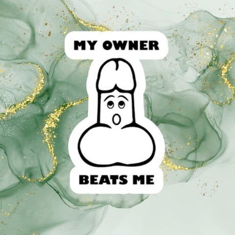 my owner beats me, laptop sticker, laptop stickers, funny stickers, sarcastic stickers, snarky stickers, cute stickers, kindle stickers