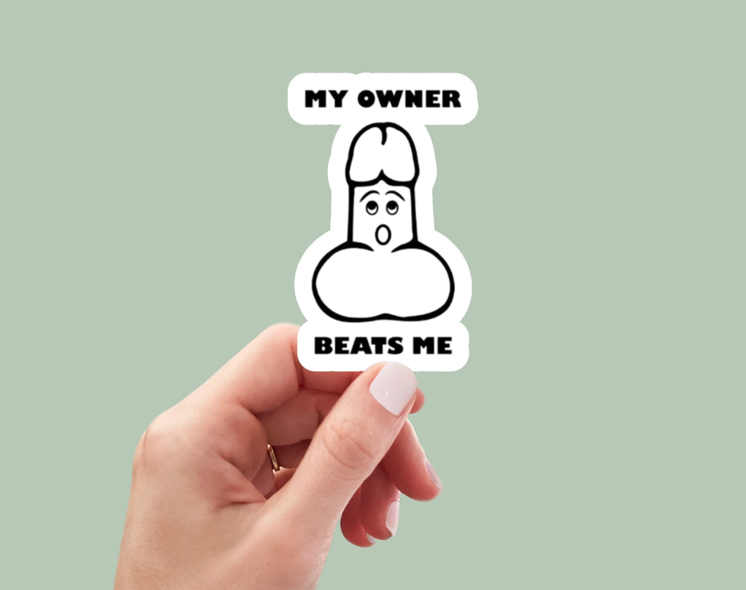 my owner beats me, laptop sticker, laptop stickers, funny stickers, sarcastic stickers, snarky stickers, cute stickers, kindle stickers