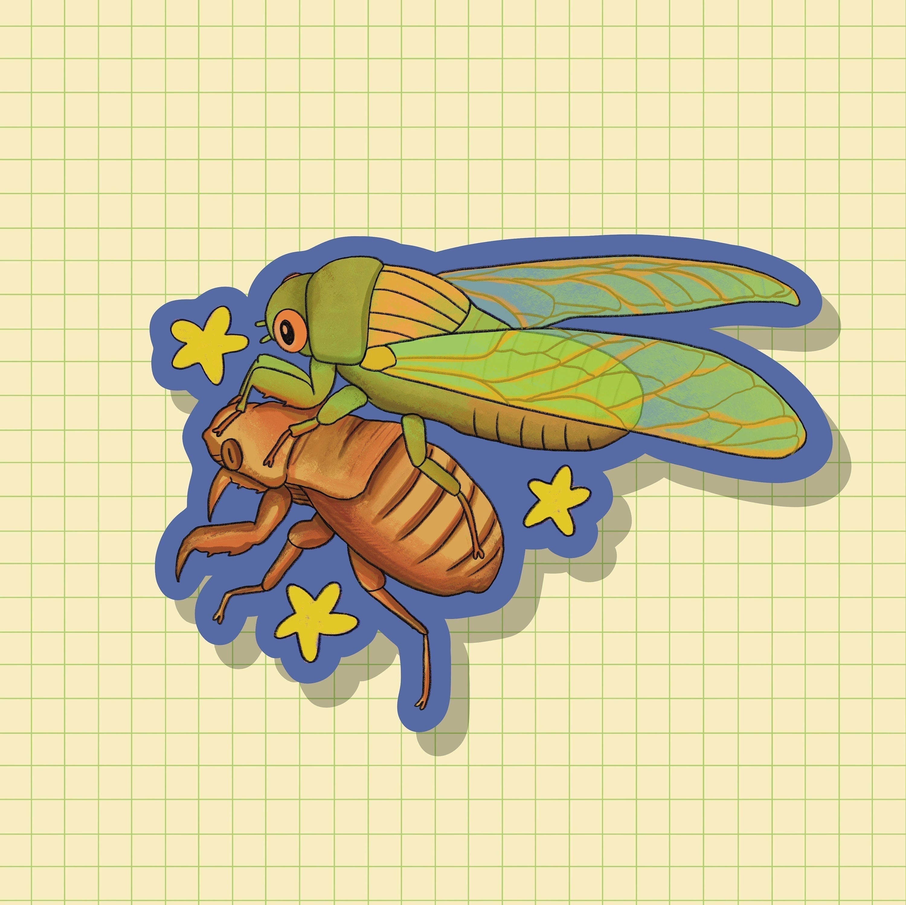 Cicada Sticker OR Magnet | Die Cut | Waterproof Vinyl