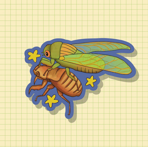 Cicada Sticker OR Magnet | Die Cut | Waterproof Vinyl