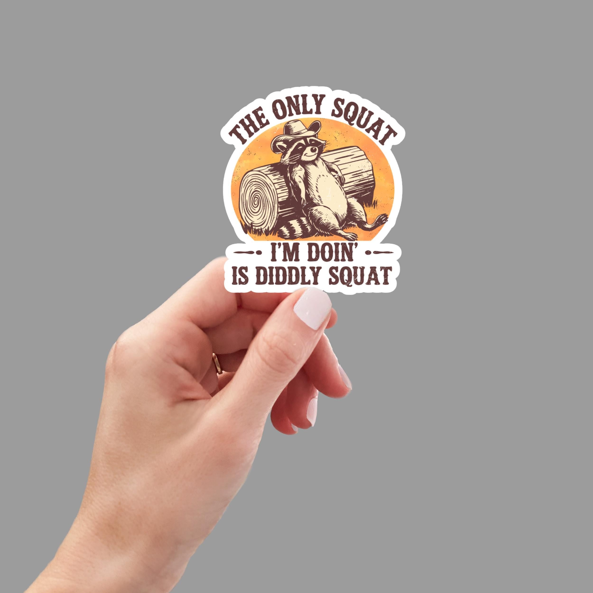 Diddly Squat, Funny Raccoon, Sticker for Laptop, water bottle sticker, kindle stickers, sarcastic sticker, funny stickers