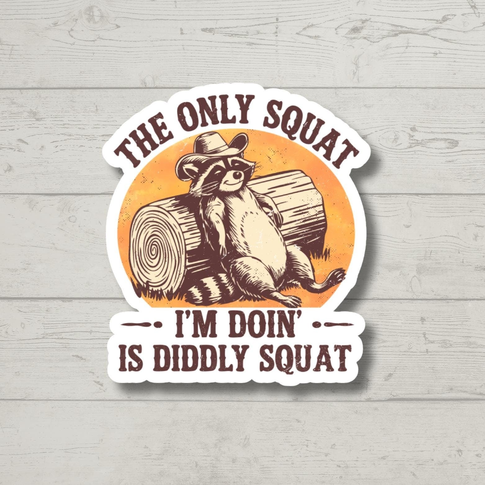 Diddly Squat, Funny Raccoon, Sticker for Laptop, water bottle sticker, kindle stickers, sarcastic sticker, funny stickers
