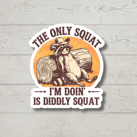 Diddly Squat, Funny Raccoon, Sticker for Laptop, water bottle sticker, kindle stickers, sarcastic sticker, funny stickers