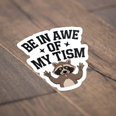 3Pcs Be in awe of my tism Funny Raccoon Sticker, Waterproof Vinyl Stickers for Laptop Kindle Car Tumbler Mug Phone Notebook
