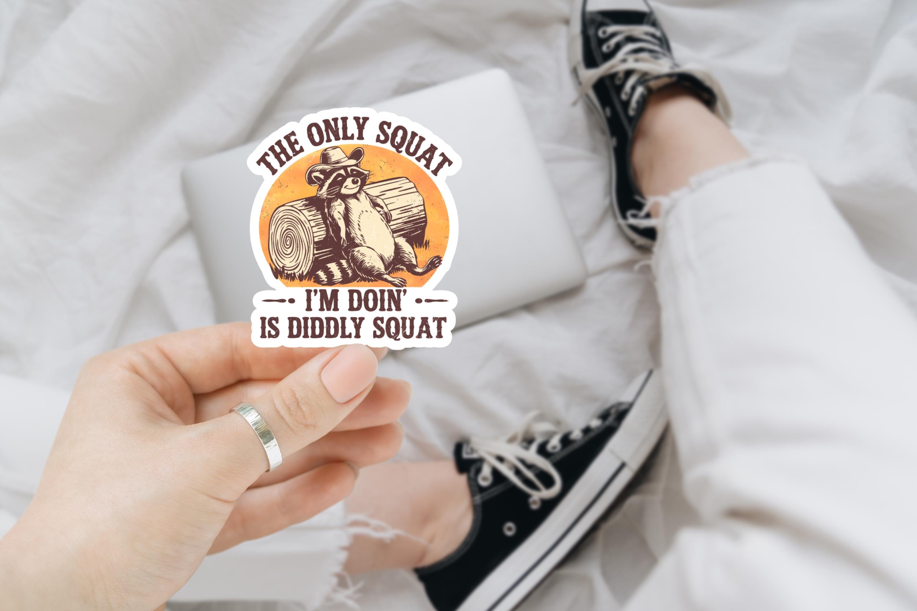 Diddly Squat, Funny Raccoon, Sticker for Laptop, water bottle sticker, kindle stickers, sarcastic sticker, funny stickers