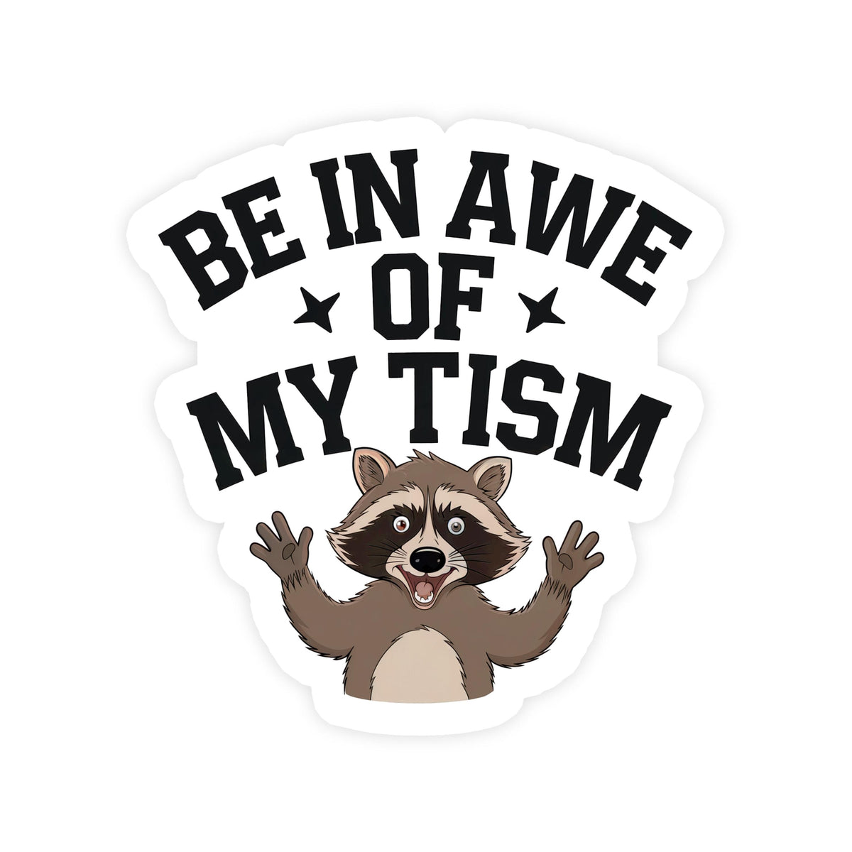 3Pcs Be in awe of my tism Funny Raccoon Sticker, Waterproof Vinyl Stickers for Laptop Kindle Car Tumbler Mug Phone Notebook