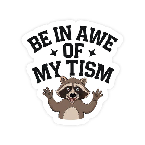 3Pcs Be in awe of my tism Funny Raccoon Sticker, Waterproof Vinyl Stickers for Laptop Kindle Car Tumbler Mug Phone Notebook