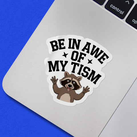 3Pcs Be in awe of my tism Funny Raccoon Sticker, Waterproof Vinyl Stickers for Laptop Kindle Car Tumbler Mug Phone Notebook