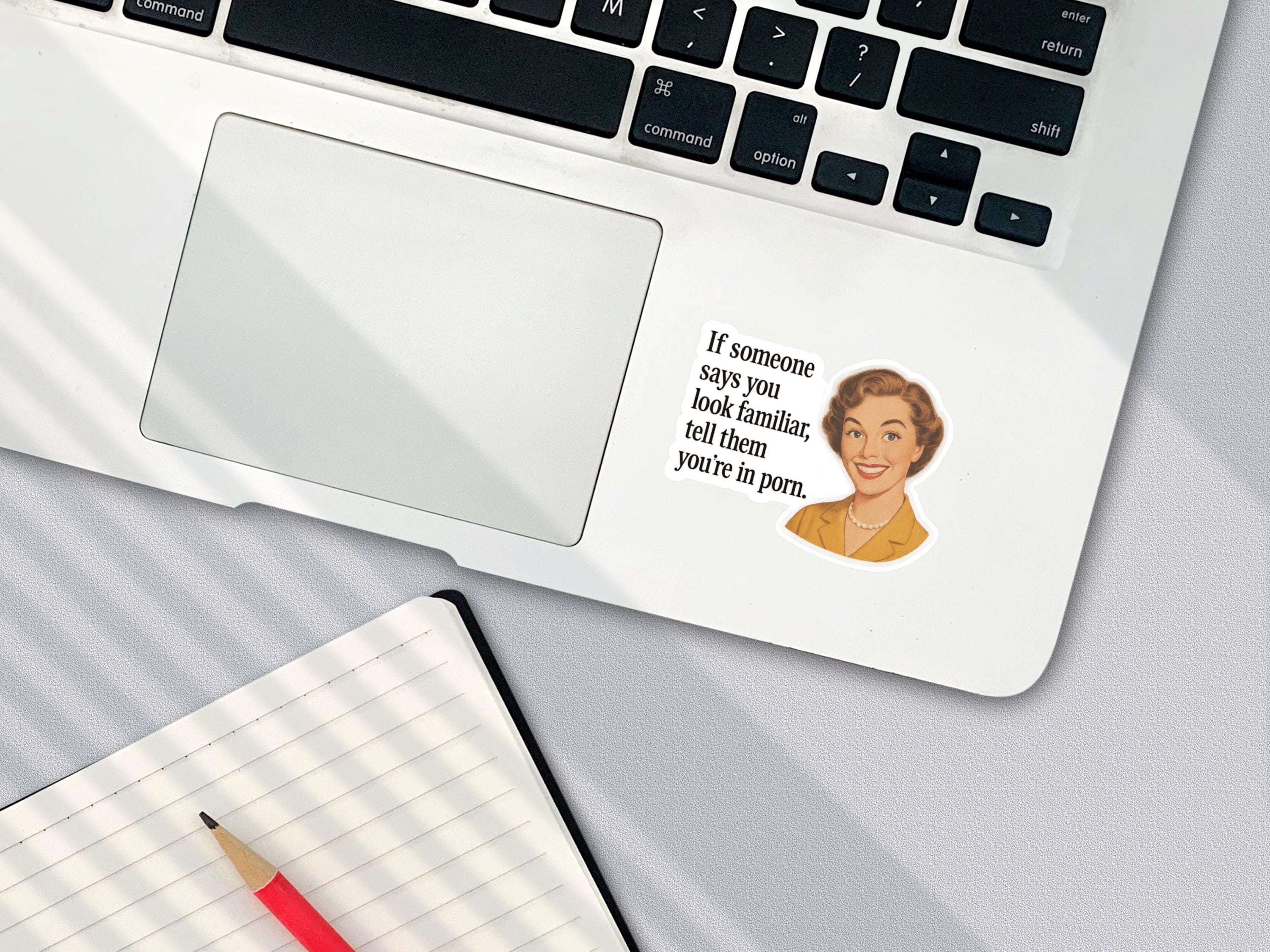 You Look Familiar, Retro, Funny Stickers, Sarcasm Stickers, Sarcastic Stickers, Funny Laptop Sticker, Funny Decals, Water Bottle Stickers