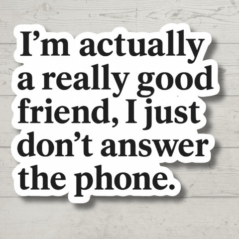 Good Friend, Funny Stickers, Sarcasm Stickers, Sarcastic Stickers, Funny Laptop Sticker,  Car Stickers, Funny Quotes