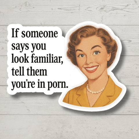 You Look Familiar, Retro, Funny Stickers, Sarcasm Stickers, Sarcastic Stickers, Funny Laptop Sticker, Funny Decals, Water Bottle Stickers