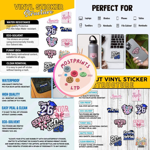 10 Pcs Senior 2026 Stickers | Class of 2026 Vinyl Decal for Students | Graduation Gift for High School Seniors | Pink & Blue School Theme